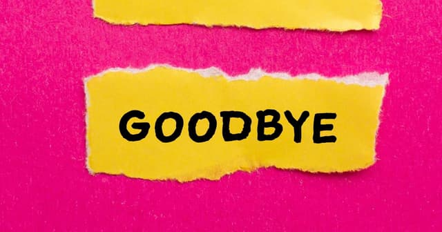 2025 წლის მიმოხილვა: SEO-სა და WordPress-ის მთავარი მოვლენები, მიღწევები და გამოწვევები